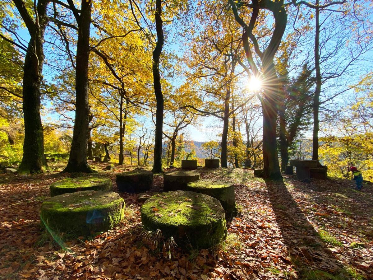 Burghof Kyffhaeuser Bad Frankenhausen Exterior foto