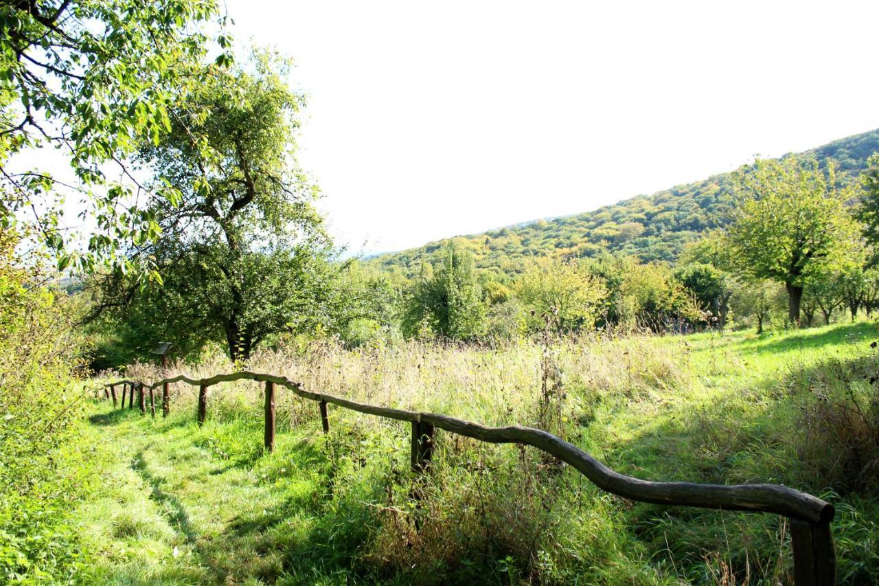 Burghof Kyffhaeuser Bad Frankenhausen Exterior foto
